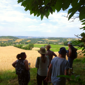 randonnée dans les vignes_groupe randonnée dans les vignes_groupe