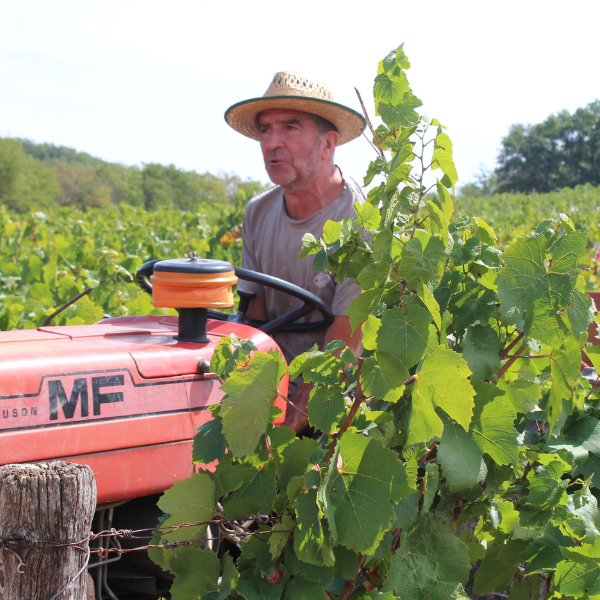 Vigno'brunch_tracteur Vigno'brunch_tracteur