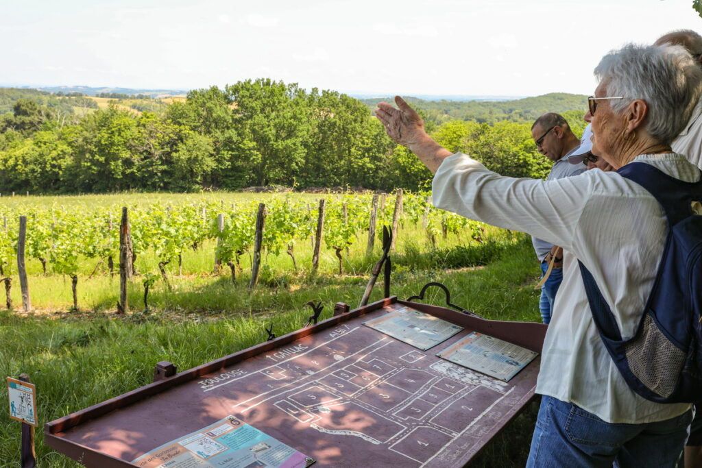 randonnée dans les vignes_groupe