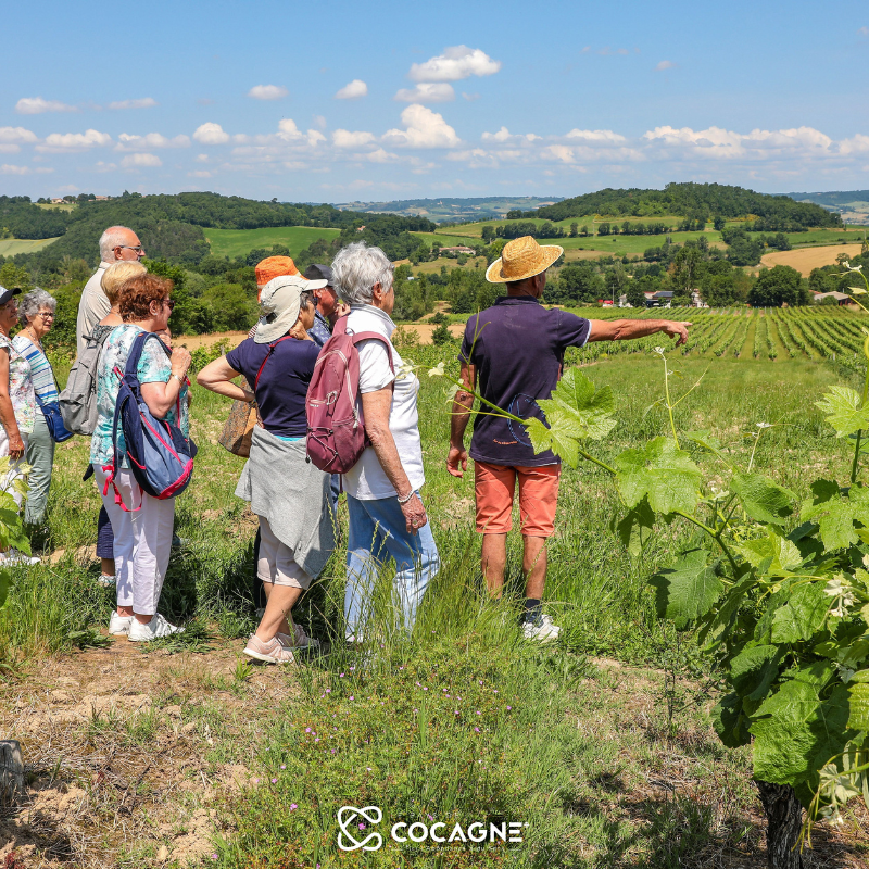 Vigno'brunch_tracteur