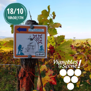 Vignobles en Scène-Dimanche 18 octobre